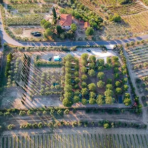 https://agricamping-poggio-ai-pini.it-tuscanyhotel.com